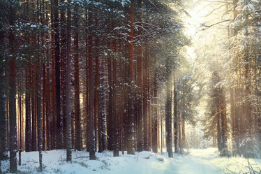 Similar image 10535655