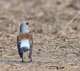 Similar image 10535676