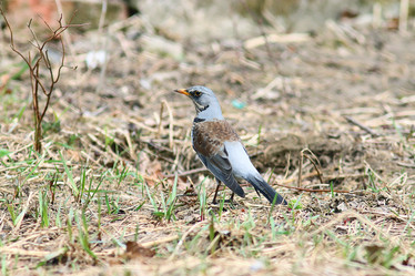 Similar image 10535678