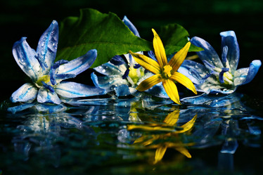 Similar image 10535692