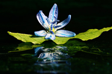 Similar image 10535694