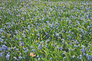 Similar image 10535697