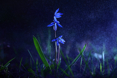 Similar image 10535702