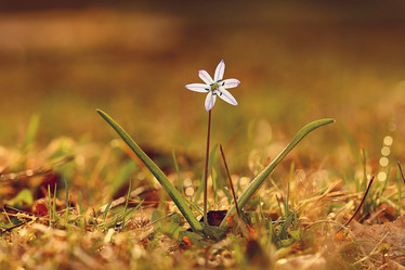 Similar image 10535703