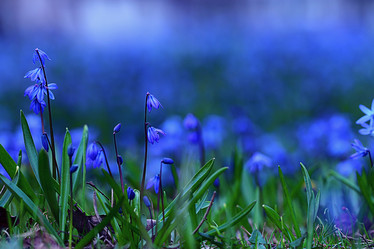 Similar image 10535705