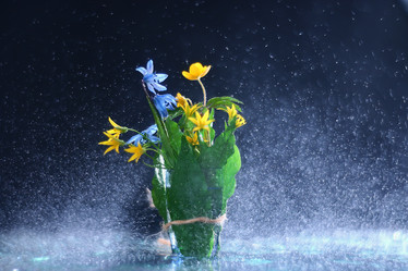 Similar image 10535706