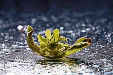 Similar image 10535713