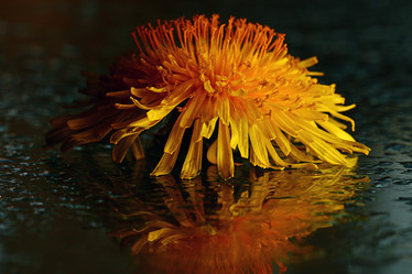 Similar image 10535717