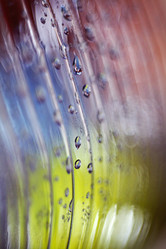 Similar image 10535721