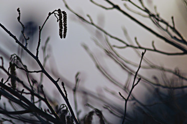 Similar image 10535731