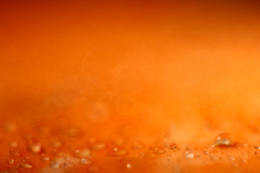 Similar image 10535730