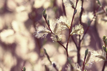 Similar image 10535732