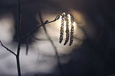 Similar image 10535734