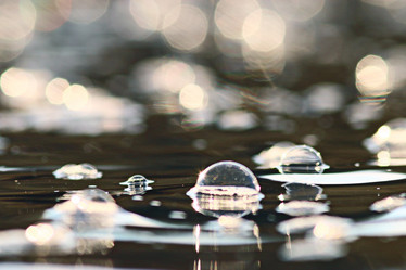 Similar image 10535736