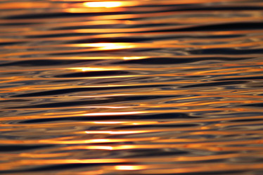 Similar image 10535739