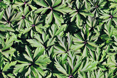 Similar image 10535748