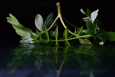 Similar image 10535765