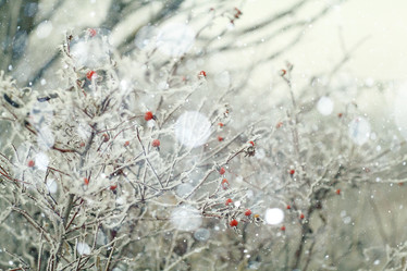 Similar image 10535802