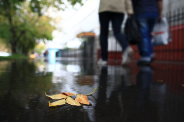 Similar image 10535806