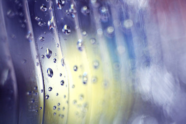 Similar image 10535809