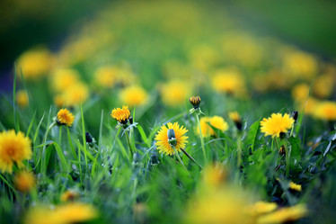 Similar image 10535811