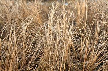 Similar image 10535821