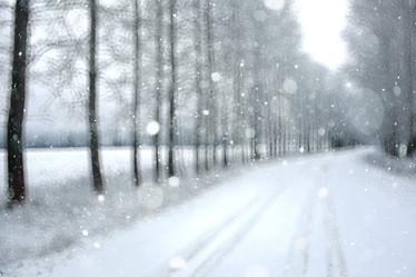 Similar image 10535944