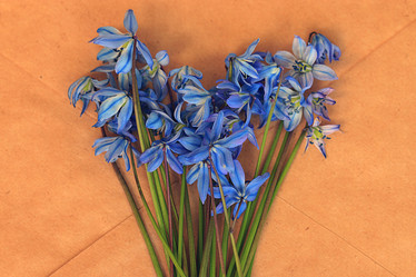 Similar image 10535981