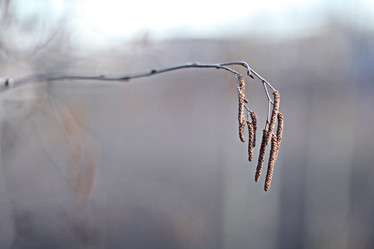 Similar image 10535982