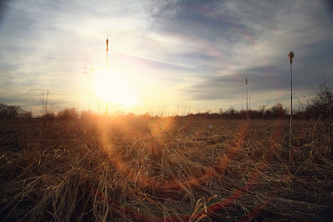 Similar image 10535986