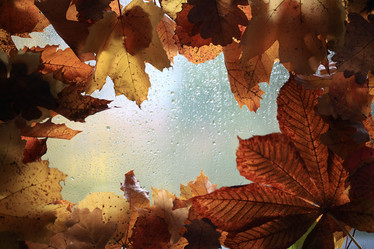 Similar image 10536049