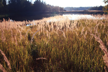 Similar image 10536055