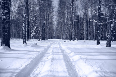 Similar image 10536057