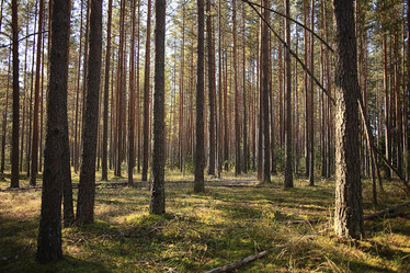 Similar image 10536103