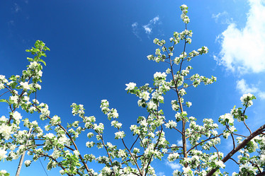 Similar image 10536109