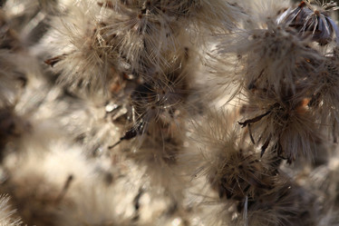 Similar image 10536111