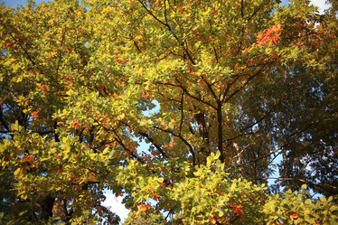 Similar image 10536112