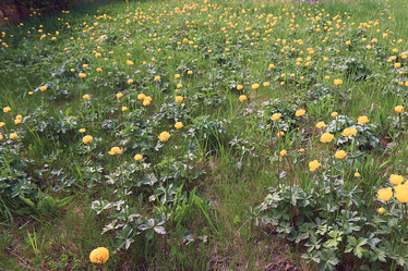 Similar image 10536113