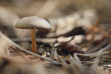 Similar image 10536120