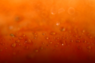 Similar image 10536127