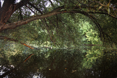 Similar image 10536130