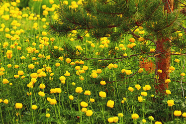 Similar image 10536169