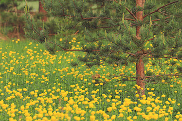 Similar image 10536172