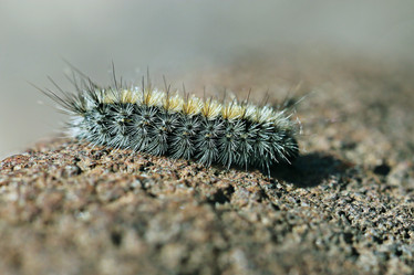 Similar image 10536175