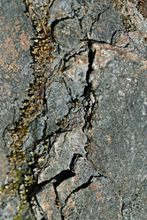 Similar image 10536177