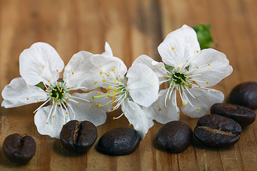 Similar image 10536181