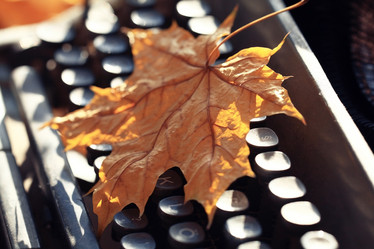 Similar image 10536189