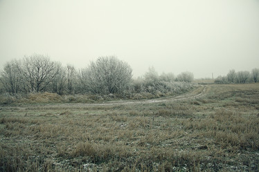 Similar image 10536205