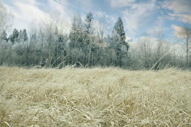 Similar image 10536212