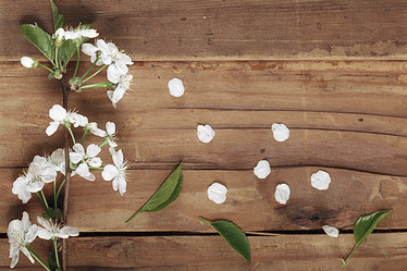 Similar image 10536285